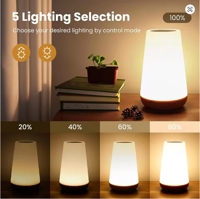 Touch Bedside Lamp