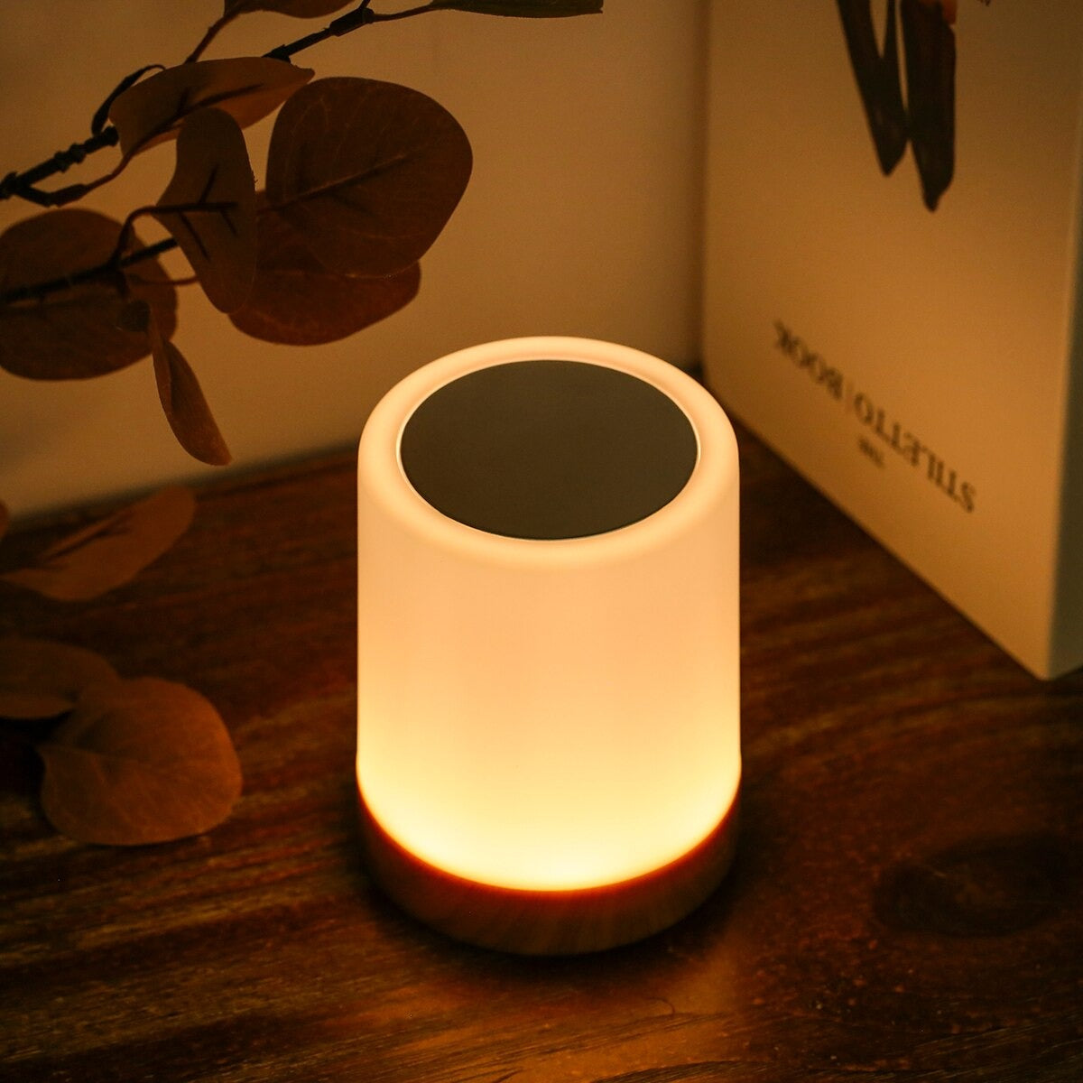 Cordless touch-sensitive bedside lamp